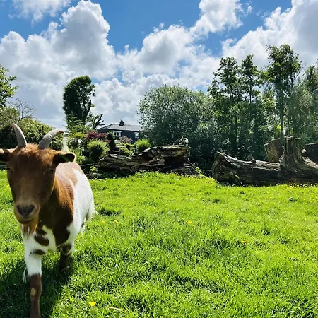 Bungalowpark De Horn - Floresta 213 度假居 *